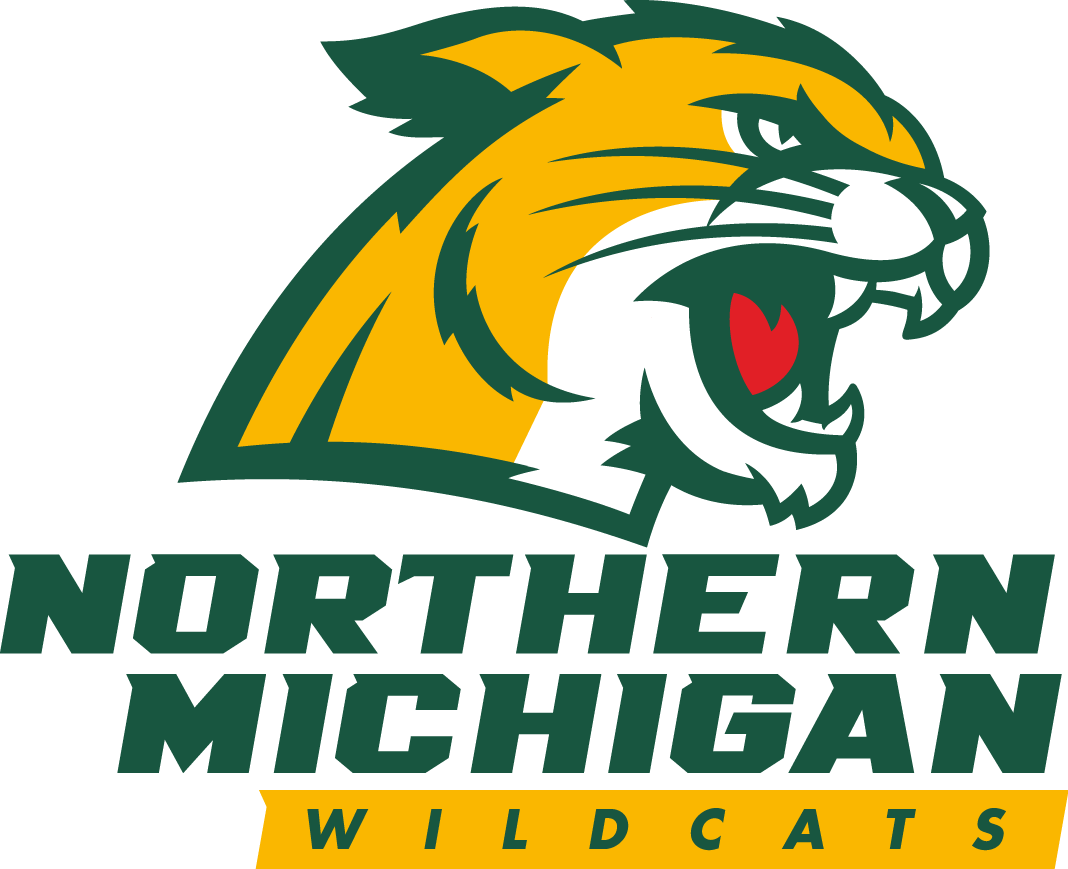 Northern Michigan Wildcats 2016-Pres Primary Logo diy DTF decal sticker